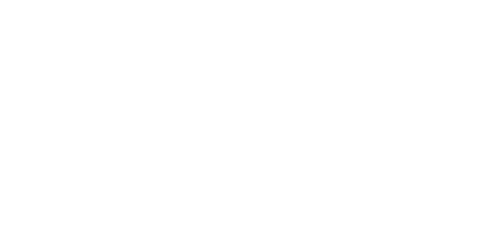 Socialismo e Liberdade - PSOL 50